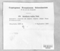 Image Associated With the Occurence